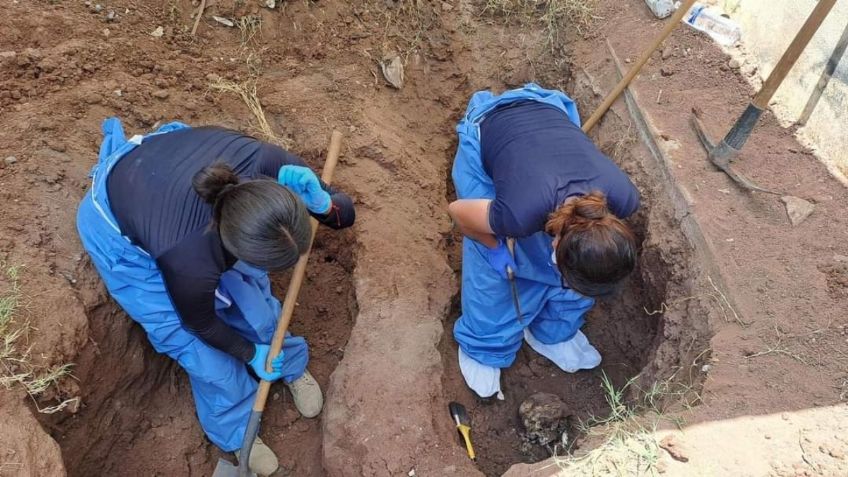 Sonora: Rastreadoras de Ciudad Obregón hallan panteón clandestino con al menos 8 cuerpos enterrados