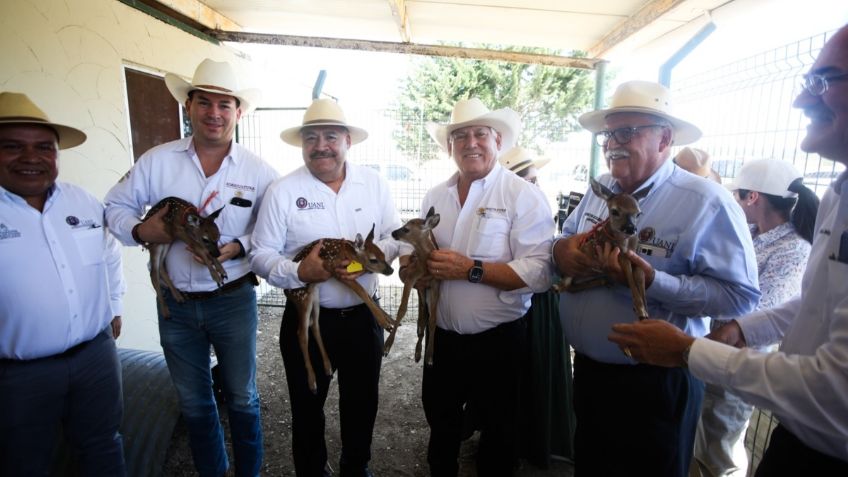 UANL recibirá apoyos para investigación en producción agropecuaria