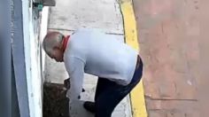 VIDEO: captan a un abuelito envenenando croquetas para matar a perritos callejeros