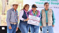 Encabeza Evelyn Salgado actividad de reforestación en Llanos de Tepoxtepec