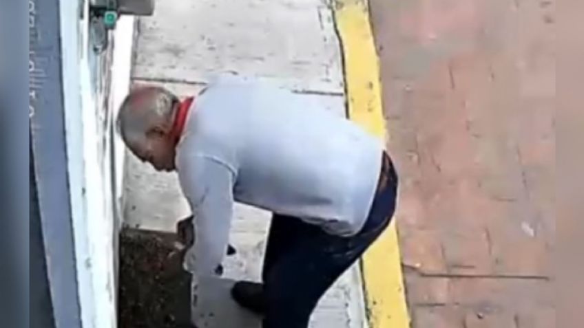 VIDEO: captan a un abuelito envenenando croquetas para matar a perritos callejeros