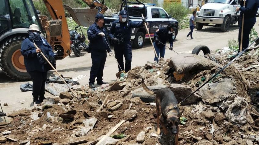 Hallan restos humanos en la Sierra de Guadalupe en Tlalnepantla, Comisión de Búsqueda investiga