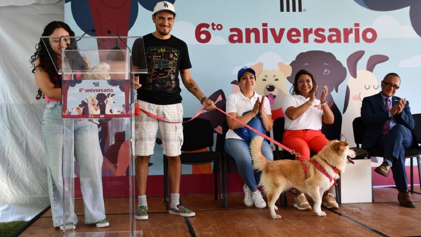 40 lomitos han regresado a sus hogares y se han registrado 415 adoptaciones: Centro de Transferencia Canina cumple 6 años