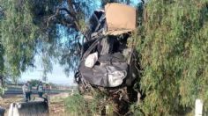 Terrible accidente en la México-Pirámides: pareja muere luego de subirse a un árbol por exceso de velocidad