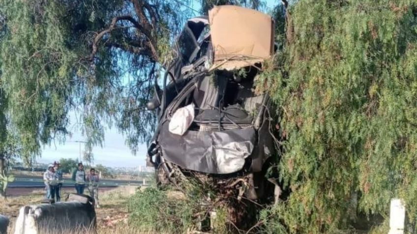 Terrible accidente en la México-Pirámides: pareja muere luego de subirse a un árbol por exceso de velocidad