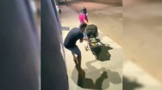 VIDEO: mujer se distrae viendo el celular y en segundos le arrebatan su bebé