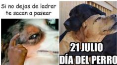 Día del perro: estos son los mejores MEMES con los que cibernautas celebran al mejor amigo del hombre