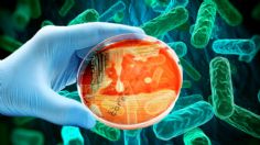 ¿Por qué las bacterias pueden ser más resistentes a los antibióticos?, experto de la UNAM explica