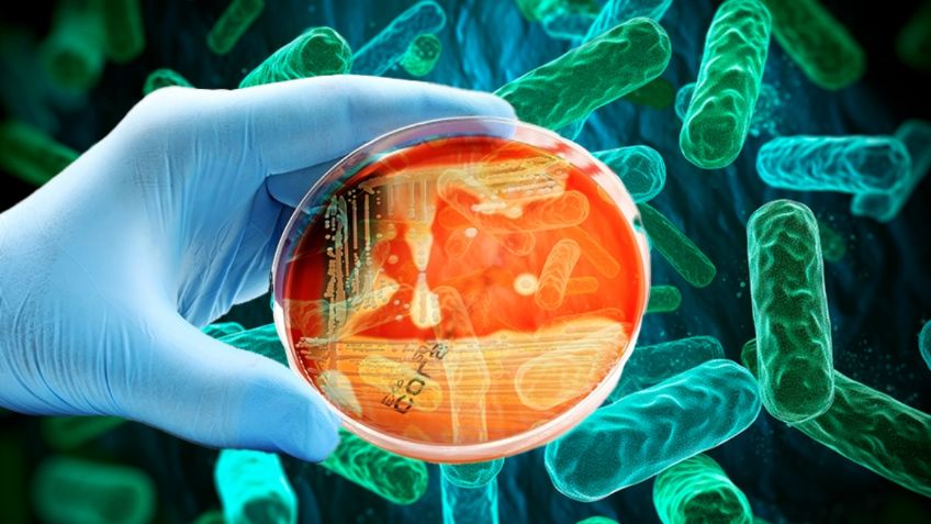 ¿Por qué las bacterias pueden ser más resistentes a los antibióticos?, experto de la UNAM explica