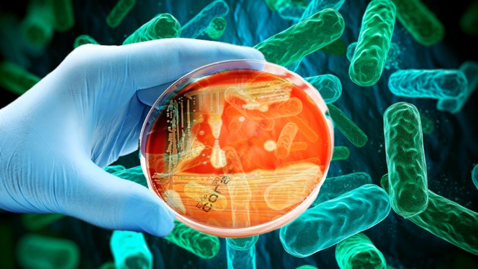 Bacterias ahora son más resistentes a los antibióticos