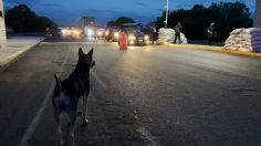 Tras bloqueos refuerzan operativo de vigilancia carretera en Zacatecas