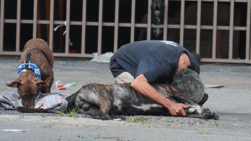 "Dio la vida por mí": dueño de Zeus narra cómo le dispararon a su perrito cuando intentó defenderlo