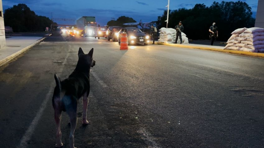 Tras bloqueos refuerzan operativo de vigilancia carretera en Zacatecas