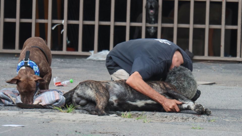 Zeus fue asesinado a sangre fría por un asaltante.