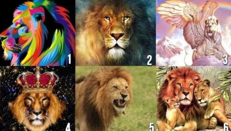 test visual leones