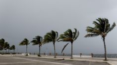 Ciclón tropical Emily, ¿cuándo llegaría a México y qué estados serían afectados?