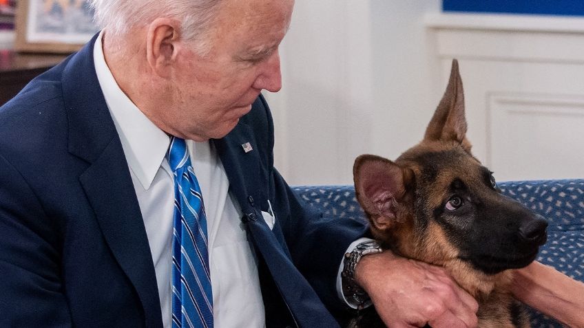 Conoce a Commander, el perro de Joe Biden que es el azote de sus agentes secretos