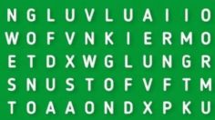 Solo para mentes brillantes: intenta no perder la calma antes de encontrar la palabra ‘Sonrisa’ en 8 segundos