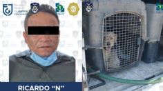 Condenan a asesino de cachorros a 4.3 años de cárcel, la pena más alta por maltrato animal