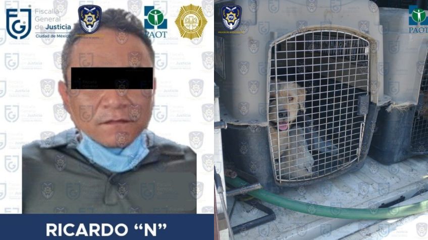 Condenan a asesino de cachorros a 4.3 años de cárcel, la pena más alta por maltrato animal