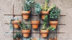 Paso a paso: cómo crear tu propio jardín vertical muy barato y en un patio pequeño