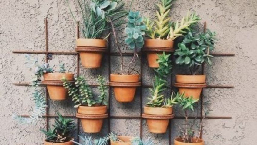 Paso a paso: cómo crear tu propio jardín vertical muy barato y en un patio pequeño