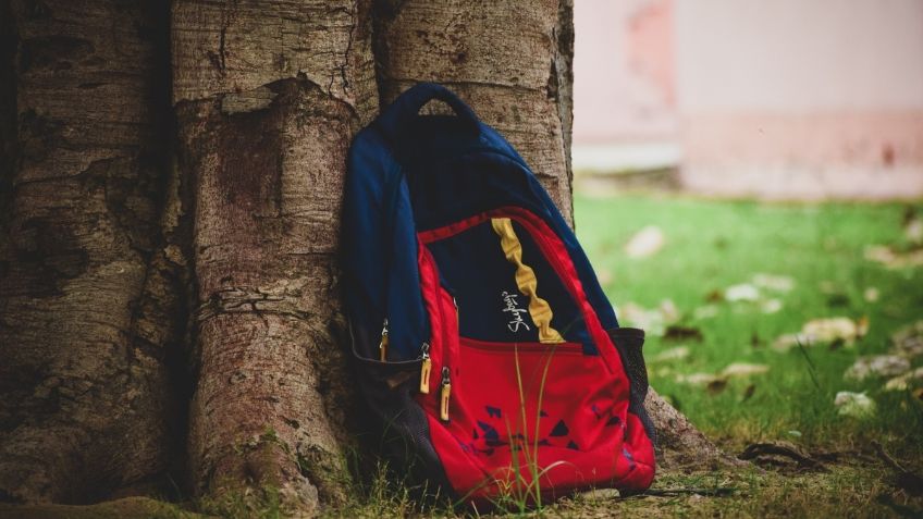 Hermanitos son aplastados por un árbol cuando iban a la escuela; uno murió y el otro está grave