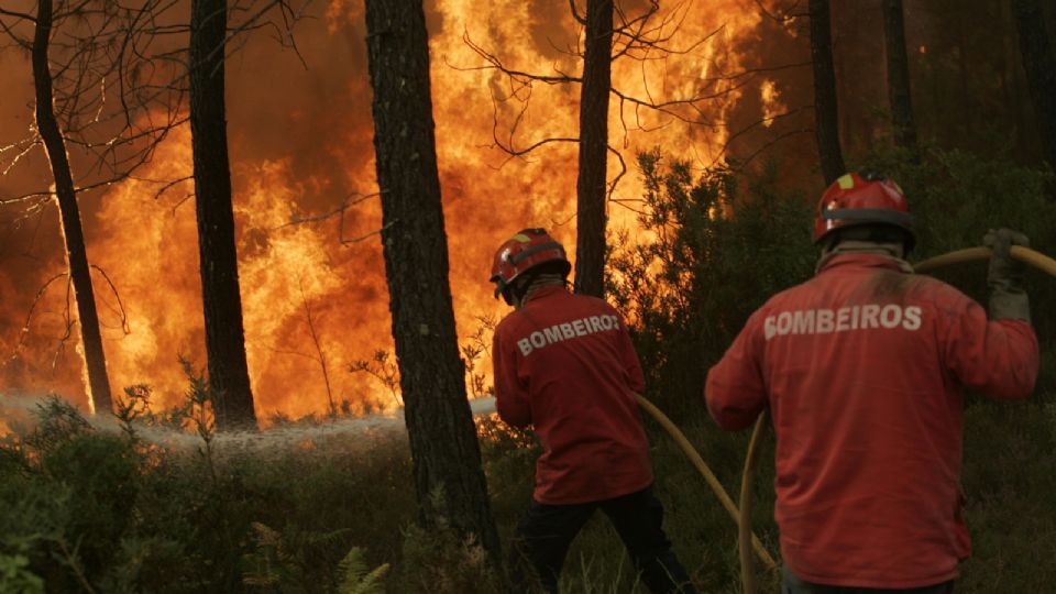 Las recientes olas de calor en Europa y Estados Unidos fueron en gran medida culpa de las emisiones de gases de efecto invernadero