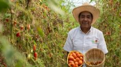 Altepetl: Asiste a un Mercado Agroecológico en CDMX y consume orgánico y local