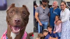 Trata de no llorar: familia se reencuentra con su perro perdido en un evento de adopción