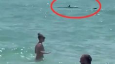 VIDEO: Tiburón invade playa de Florida y provoca estampida de bañistas