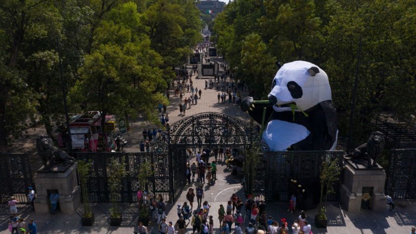 ¿Hay contingencia ambiental en la CDMX hoy 4 de julio?