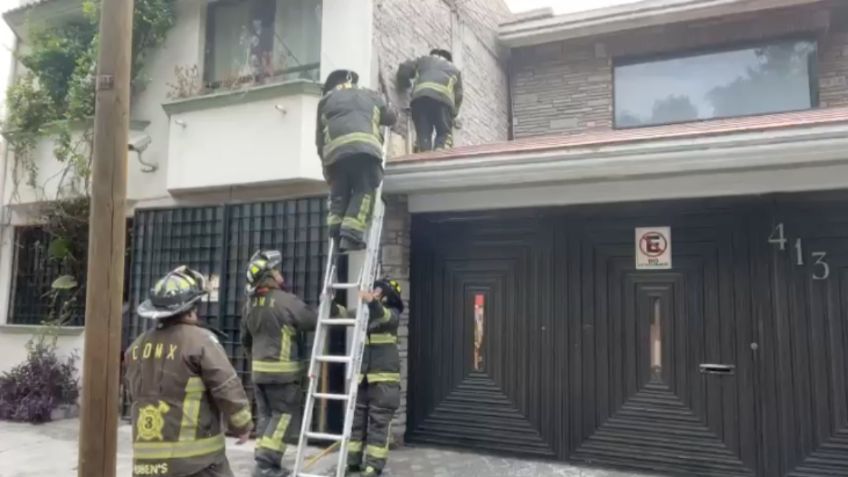 Un gato quedó atrapado entre dos paredes en Azcapotzalco, los bomberos de la CDMX llevan horas en el rescate