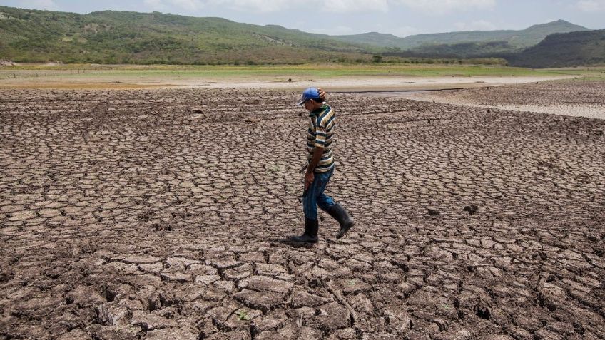 ¿Por qué las malas cosechas pondrían en peligro a la humanidad? Revelan alarmante consecuencia del cambio climático