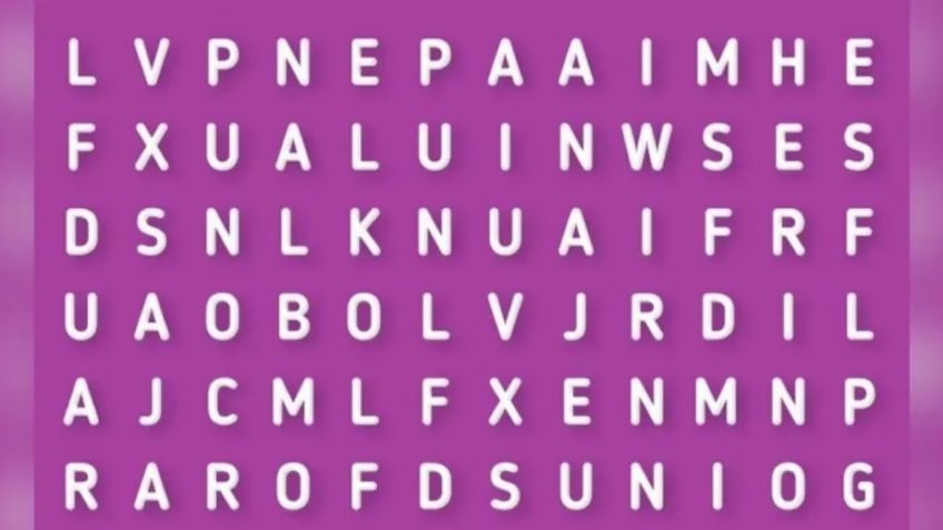 Solo para inteligentes, trata de no perder la calma antes de hallar la palabra ‘miel’ en poco tiempo