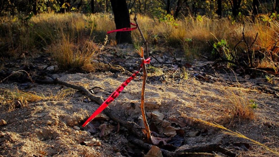 Se espera la intervención de las autoridades para el traslado de los cuerpos al servicio médico forense