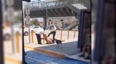 Indignante captan en video la golpiza que guardias de seguridad le dan a un indigente en Monterrey, solo se cubría del Sol