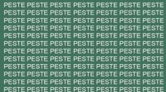 Solo para inteligentes, trata de no perder la calma antes de hallar la palabra ‘pesto’ en poco tiempo