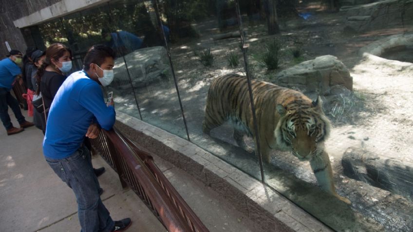 El Zoológico de Chapultepec cumple 100 años