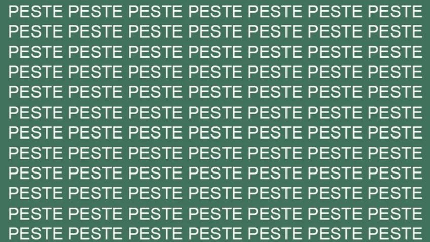 Solo para inteligentes, trata de no perder la calma antes de hallar la palabra ‘pesto’ en poco tiempo