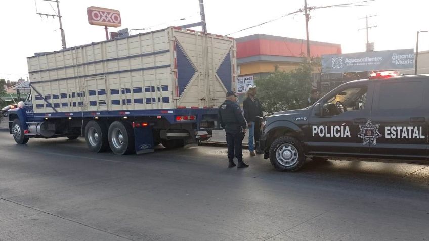 Aseguran 15 cabezas de ganado que eran transportadas sin la documentación correspondiente