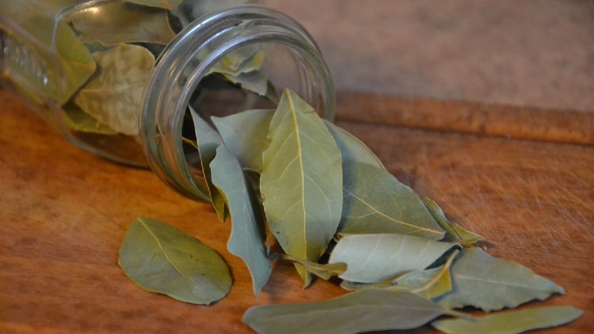 Té de laurel en ayunas: 5 propiedades de la potente bebida para la salud, según la ciencia