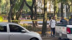 Encuentran cuerpo sin vida de hombre en parque de la Miguel Hidalgo, presentaba un disparo por arma de fuego