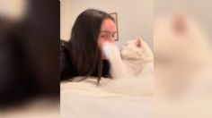 VIDEO | Quería besar a su gato, pero terminó ciega tras fuerte arañazo