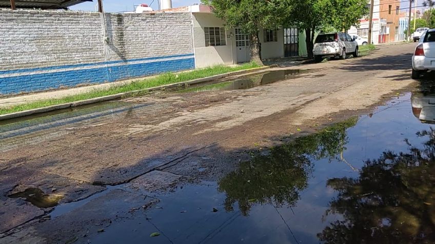 Piden vecinos de Las Américas colocar más caimanes para evitar que el agua se estanque