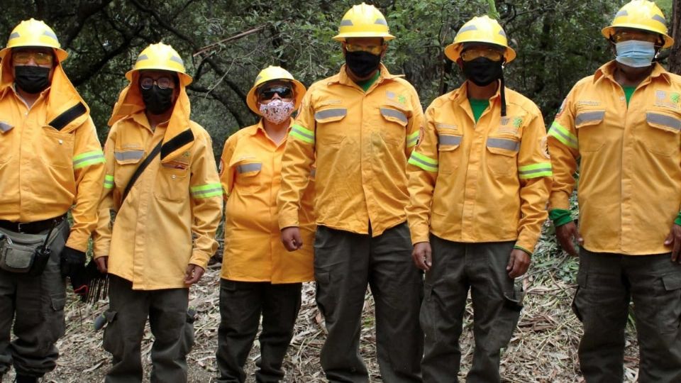 Brigadas de conservación y reforestación de Áreas Naturales.