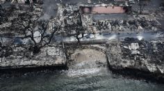 FOTOS | Ascienden a 53 los muertos por incendios forestales en Hawai