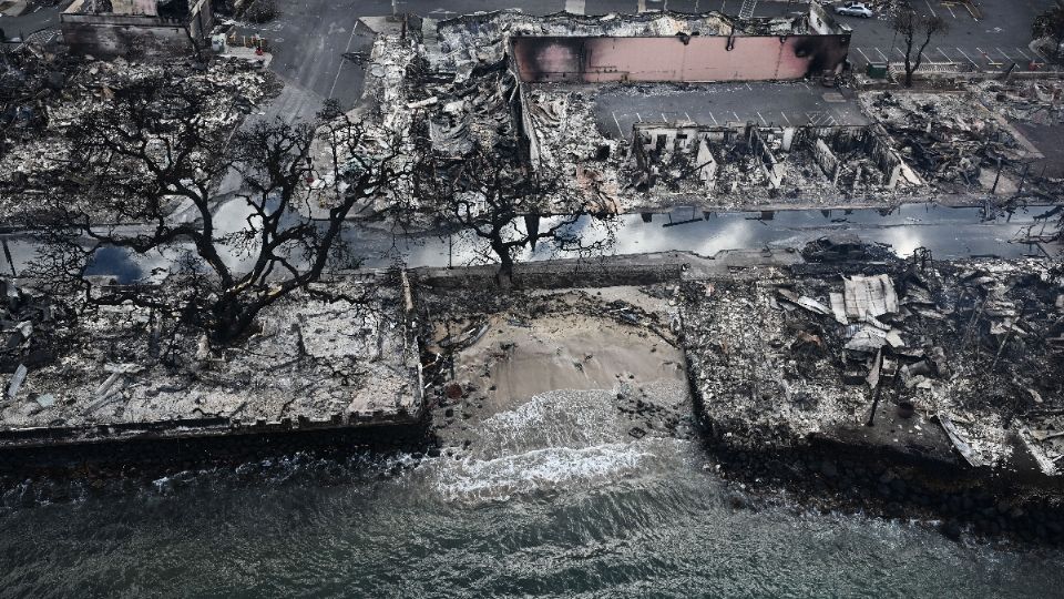 Amplias zonas de la isla fueron consumidos por el fuego.