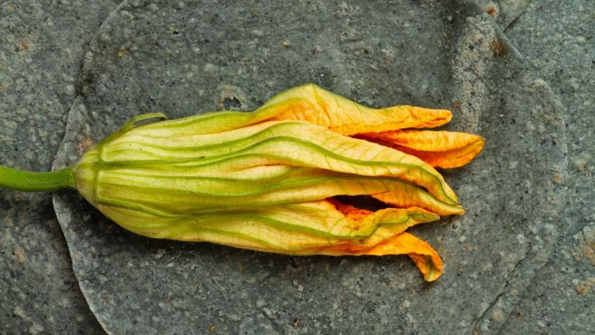 5 razones por las que debes incluir la flor de calabaza en tu desayuno