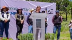 Alfa González: la meta en Tlalpan es plantar más de mil 500 árboles en toda la alcaldía